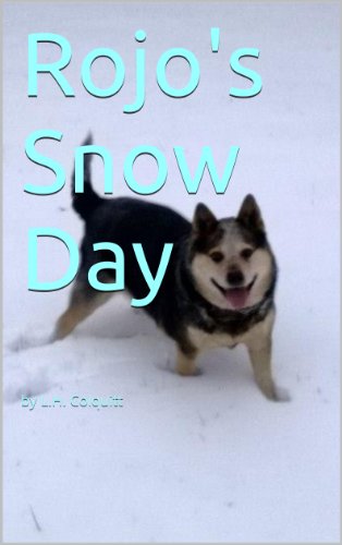 Rojo's Snow Day
