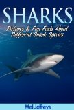 Sharks: Pictures and Fun Facts About Different Shark Species