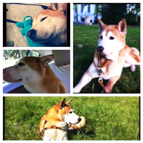 The Story of Regis of Dumbo: A tale of a dog and two people living in Dumbo