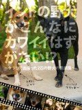 Indo no yaken ga konnani kwaii hazuganai kerara de deatta nihiki no yaken no sugaoshu (Japanese Edition)