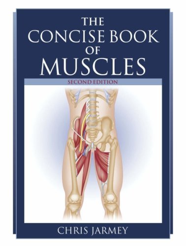 The Concise Book of Muscles by Jarmey, Chris (2008) Paperback