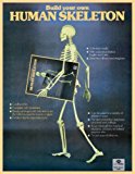 Build Your Own Human Skeleton: Das menschliche Skelett zum Selberbauen. Mit deutscher Bastelanleitung (Taschen Specials) by Taschen Publishing, Taschen, Benedikt, Taschen (1996) Paperback