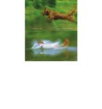 Beautiful Evidence by Tufte, Edward R. (2006) Hardcover