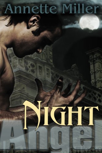 Night Angel (Angel Haven)