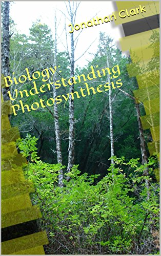 Biology: Understanding Photosynthesis