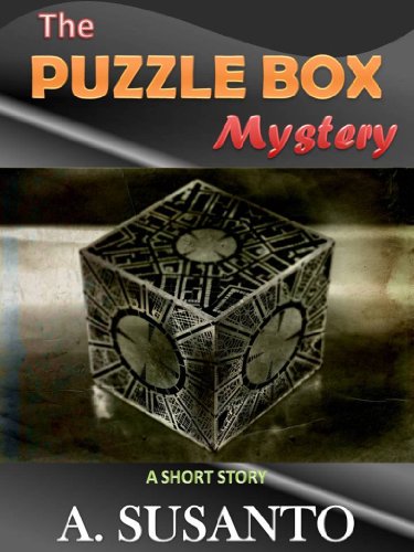 The Puzzle Box Mystery