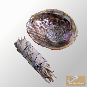Ensemble: Baton Purificateur Sauge Blanche Moyen et coquille d'ormeau 12-14cm (abalone shell 5-6Inch)- Salvia Apiana - WHITE SAGE ML Smudge 5'' (~12-14cm, ~30-35gr.)