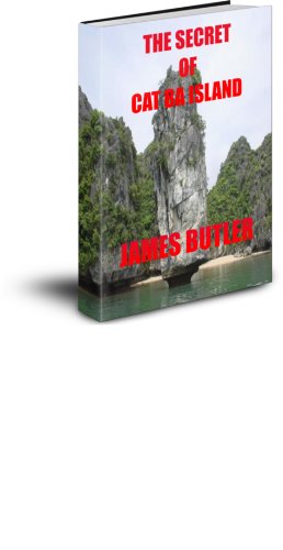 THE SECRET OF CAT BA ISLAND (THE BAMBOO VIPER SERIES Book 9)