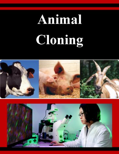 Animal Cloning