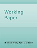The Role of Risk and Information for International Capital Flows: New Evidence from the SDDS