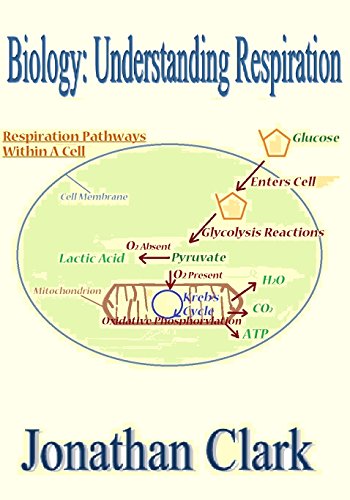 Biology: Understanding Respiration