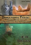 Tumultuous Trade: Shipwrecks and Late Bronze Age Economics