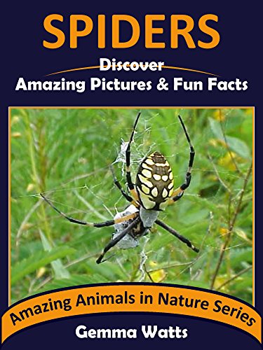 SPIDERS: Discover Amazing Pictures and Fun Facts (Amazing Animals in Nature Series Book 6)