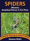 SPIDERS: Discover Amazing Pictures and Fun Facts (Amazing Animals in Nature Series Book 6)