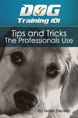 Dog Training 101: Tips and Tricks The Professionals Use