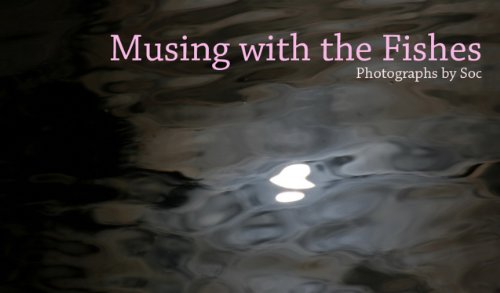 Musing with the Fishes