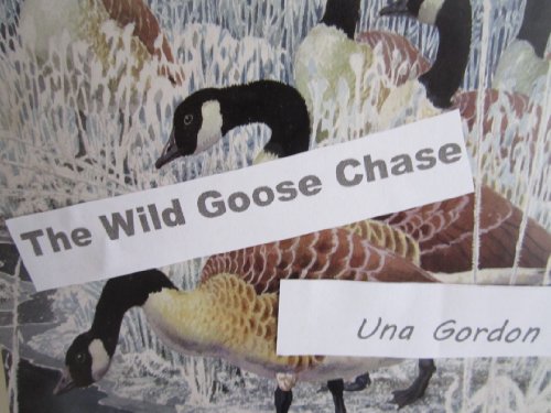 The Wild Goose Chase (Quinn Mysteries Book 5)