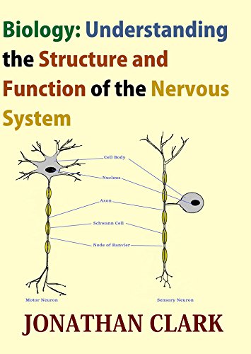 Biology: Understanding the Structure and Function of the Nervous System