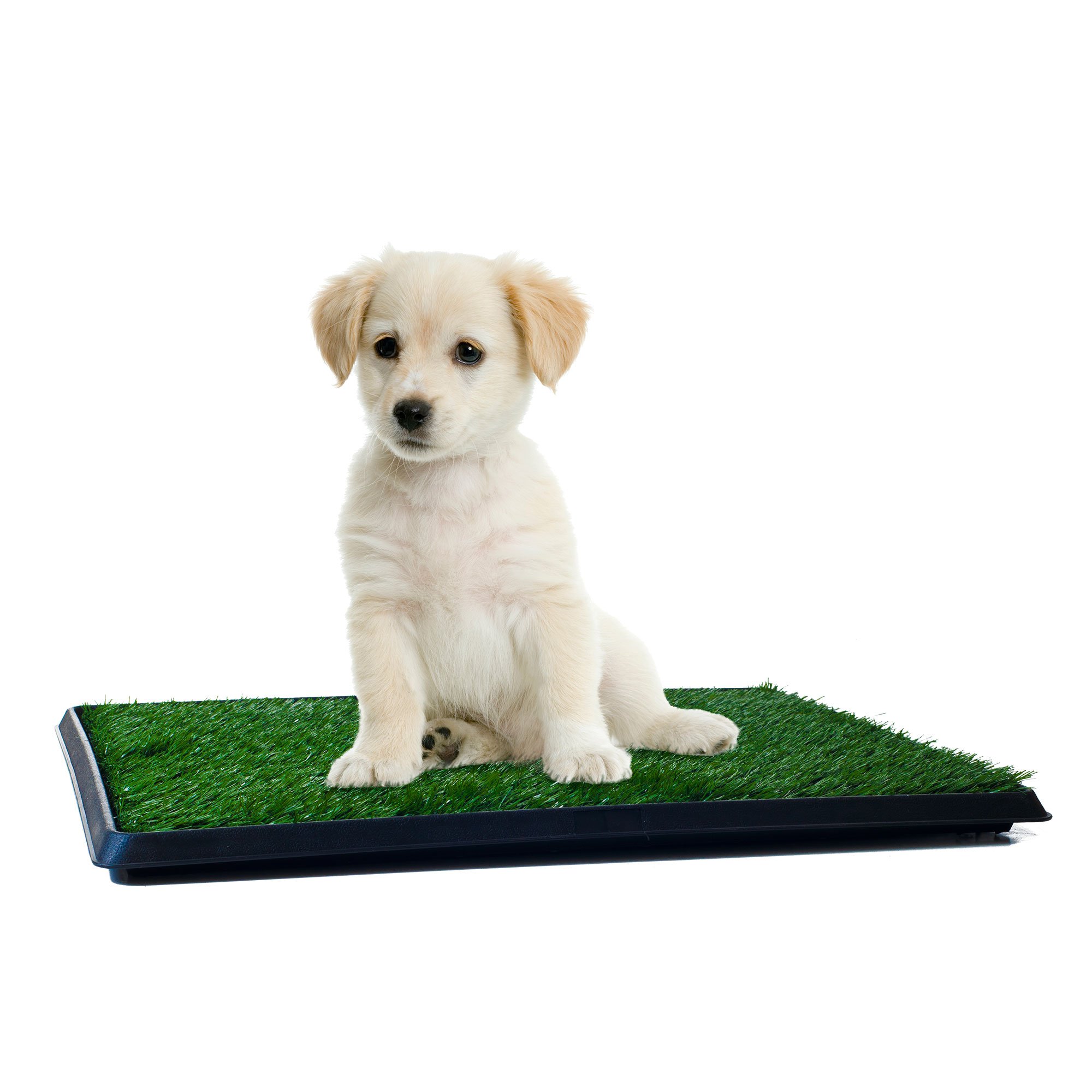 Artificial Grass Puppy Pad for Dogs and Small Pets â€“ Portable Training Pad with Tray â€“ Dog Housebreaking Supplies by PETMAKER