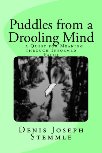 Puddles from a Drooling Mind: ...a Quest for Meaning through an Informed Faith