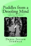 Puddles from a Drooling Mind: ...a Quest for Meaning through an Informed Faith