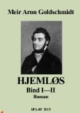 HjemlÃ¸s (Danish Edition)