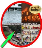 Twelve Disaster Survival Essentials: Discover How to Prepare For a Natural Disaster [Newly Revised Disaster Preparedness and Survival Guide]