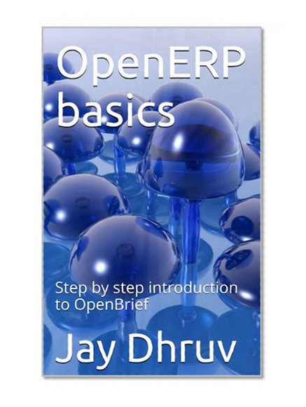 OpenERP basics: Step by step introduction to OpenBrief