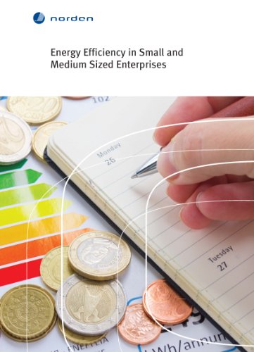 Energy Efficiency in Small and Medium Sized Enterprises (TemaNord)