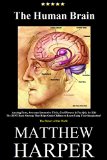 THE HUMAN BRAIN: Amazing Facts, Awesome Interactive Trivia, Cool Pictures & Fun Quiz for Kids - The BEST Book Strategy That Helps Guide Children to Learn ... History of Our World (Did You Know 28)