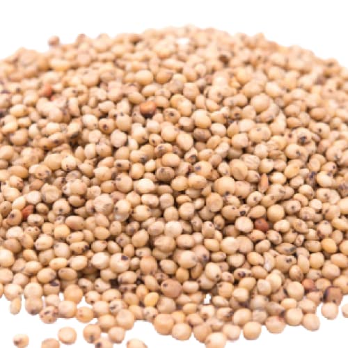 Gerbs White Sorghum Grain 2 lbs. | No Artificial Additives, Non-GMO, Resealable Bag | Naturally Mild with a Slightly Sweet Grain Flavor | Top 14 Allergen-Free