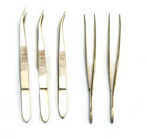 Eisco Labs 4.25" Curved Steel Forceps/Tweezers (Pack of 5)