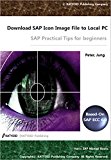Download Icon Image File to PC: SAP Practical Tips for beginner (HAN's SAP Manual Book)