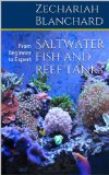 Saltwater Fish and Reef Tanks: From Beginner to Expert