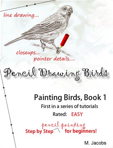 Painting Birds-Book 1: A step by step bird pencil painting lesson for beginners
