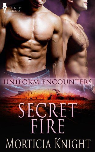 Secret Fire (Uniform Encounters Book 5)