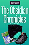 The Obsidian Chronicles, Book One: Ender Rain (The Unofficial Minecraft Adventure Short Stories)