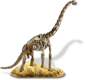 Elenco Brachiosaurus Skeleton Model Kit