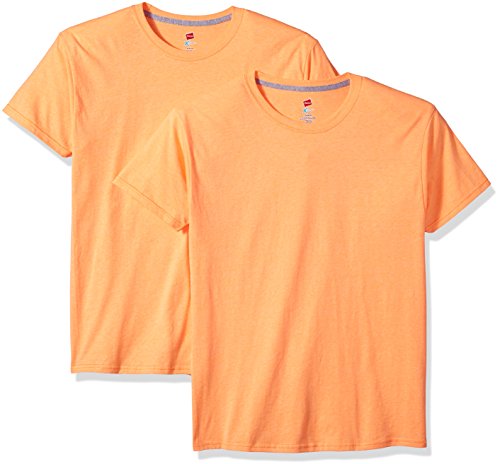 Hanes Men's 2 Pack X-Temp Performance T-Shirt