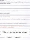 The synchronicity diary