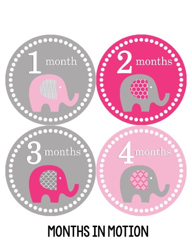 Book Cover Months in Motion Baby Monthly Stickers - Baby Milestone Stickers - Newborn Girl Stickers - Month Stickers for Baby Girl - Baby Girl Stickers - Newborn Monthly Milestone Sticker (Style 246)