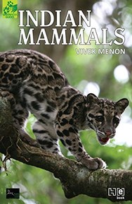 Indian Mammals: A Field Guide (English Edition)