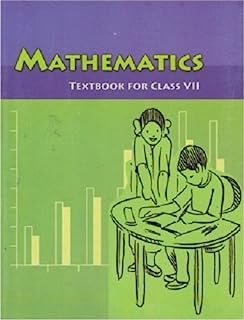 Mathematics - Textbook for Class 7