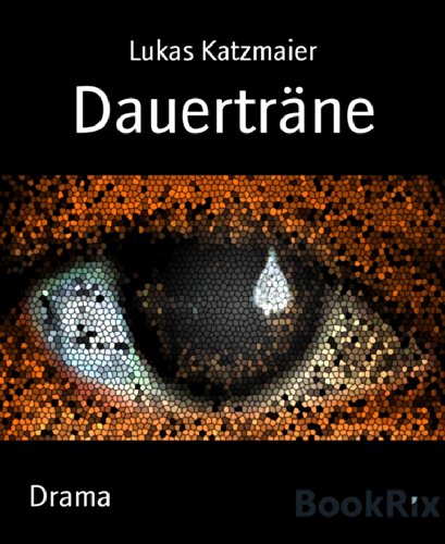 DauertrÃ¤ne (German Edition)