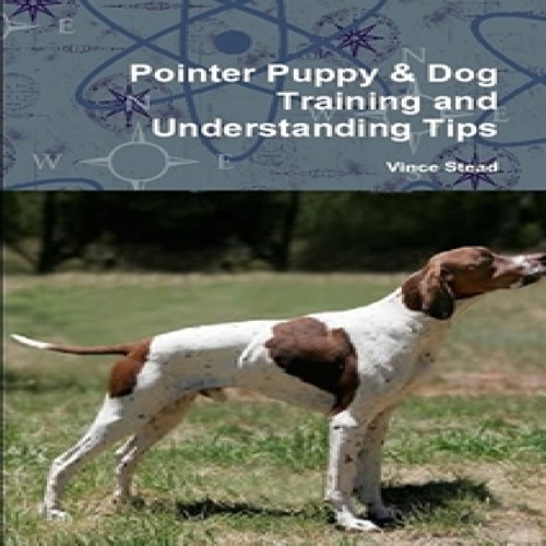 Pointer Puppy: Dog Training and Understanding Tips