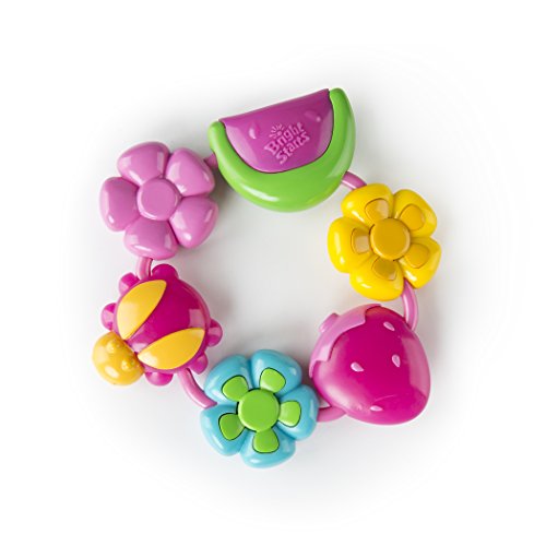 Bright Starts Pretty in Pink Teether, Buggie Bites