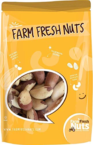 Book Cover Dry Roasted Brazil Nuts with Healthy Himalayan Salt (1 Lb.) - Oven Roasted to Perfection - Vegan & Keto Friendly - Handpicked for Freshness - Farm Fresh Nuts Brand