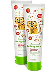 Book Cover Babyganics Fluoride Free Toothpaste, Strawberry, 4oz Tube (Pack of 2)