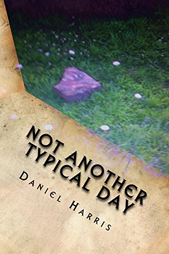 Not Another Typical Day: Wizards of Eredwynn Vol 3 (The Wizards of Eredwynn)