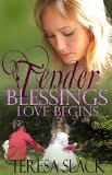 Love Begins: A Contemporary Christian Romance Novel (Tender Blessings Book 1)
